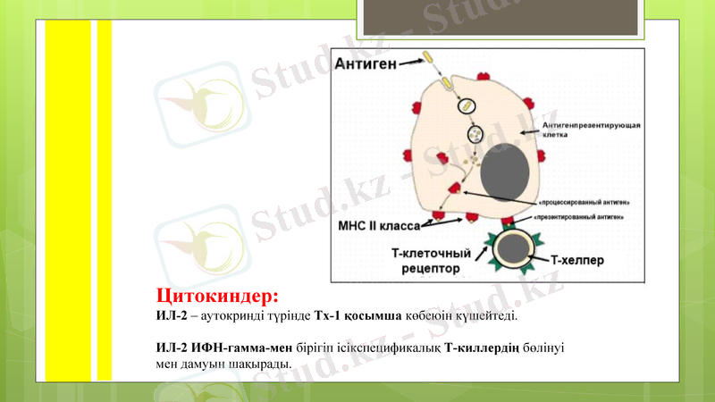 Slide 9