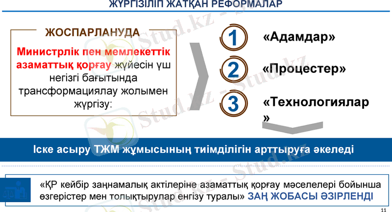 Slide 11