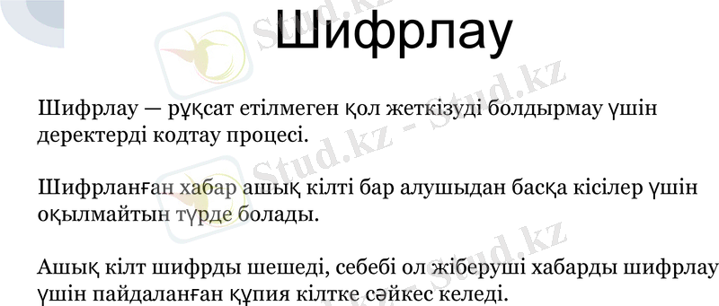 Slide 12