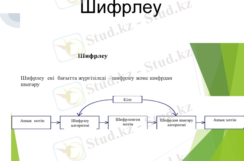 Slide 13