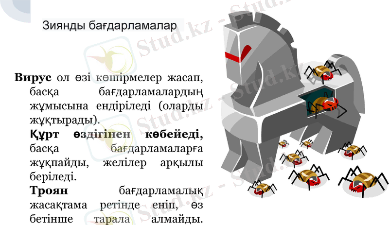 Slide 6