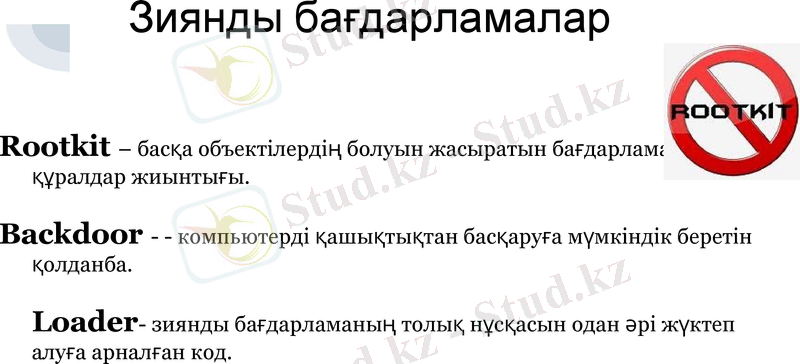 Slide 7