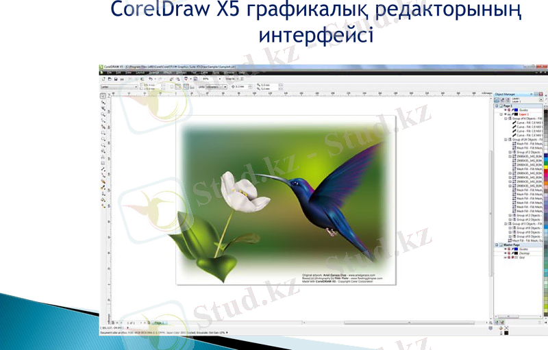 Slide 8