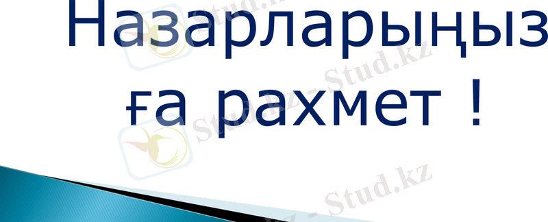 Slide 9