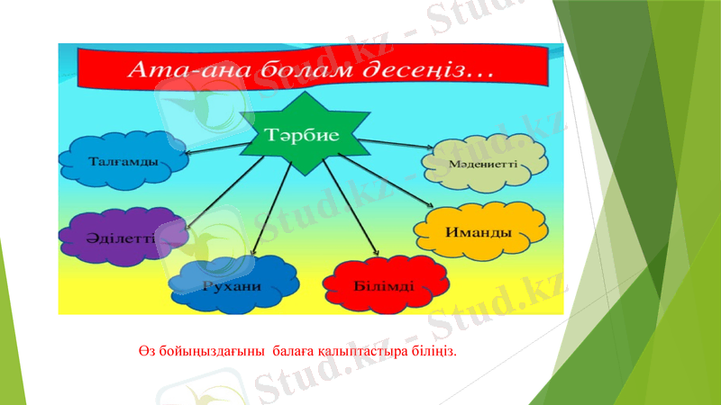 Slide 11