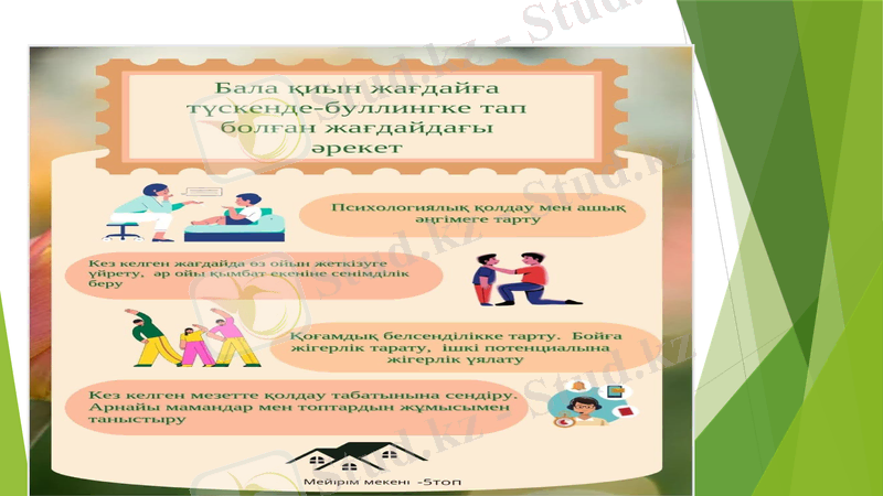 Slide 8