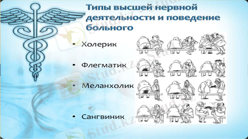 Slide 13