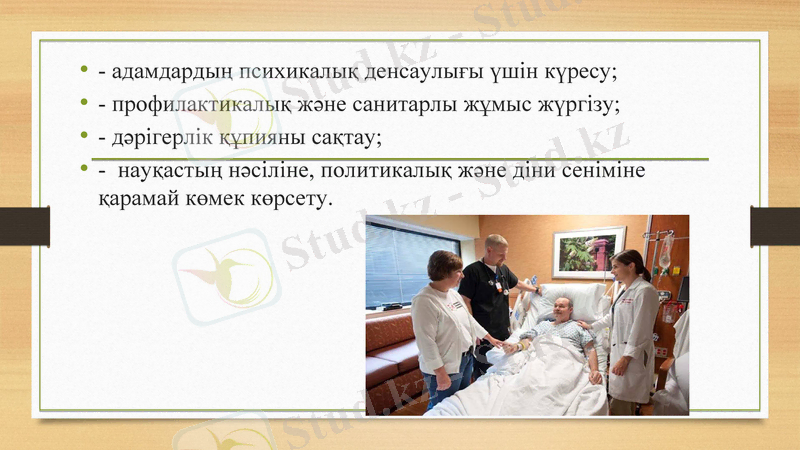 Slide 7