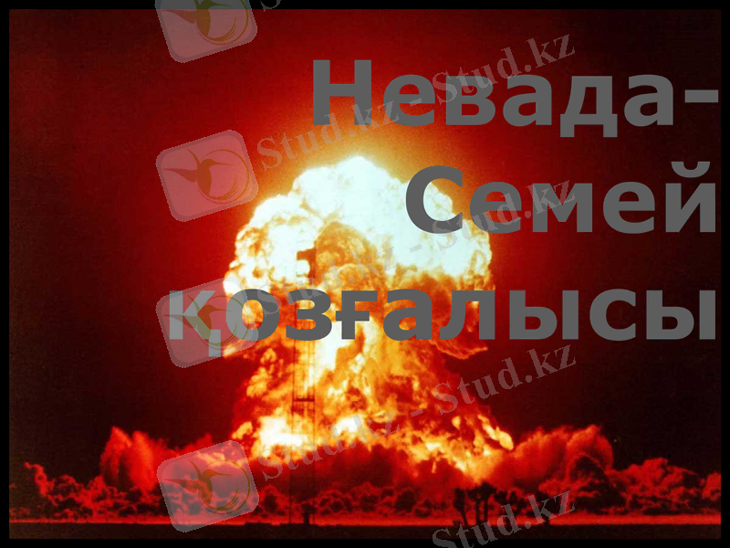 Slide 1