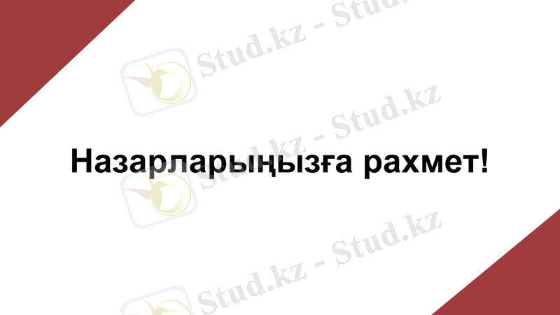 Slide 13