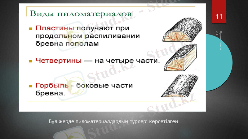 Slide 11
