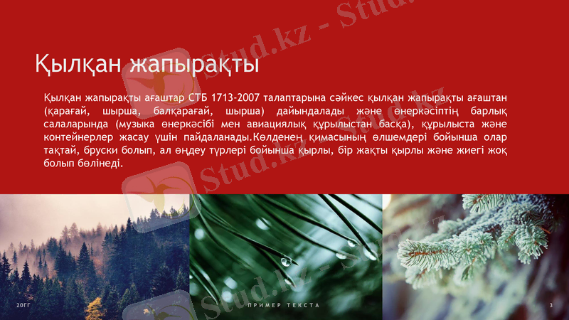 Slide 3