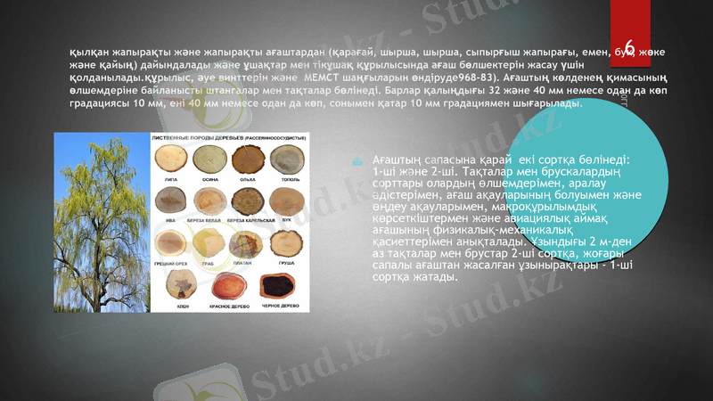 Slide 6