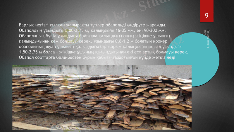 Slide 9