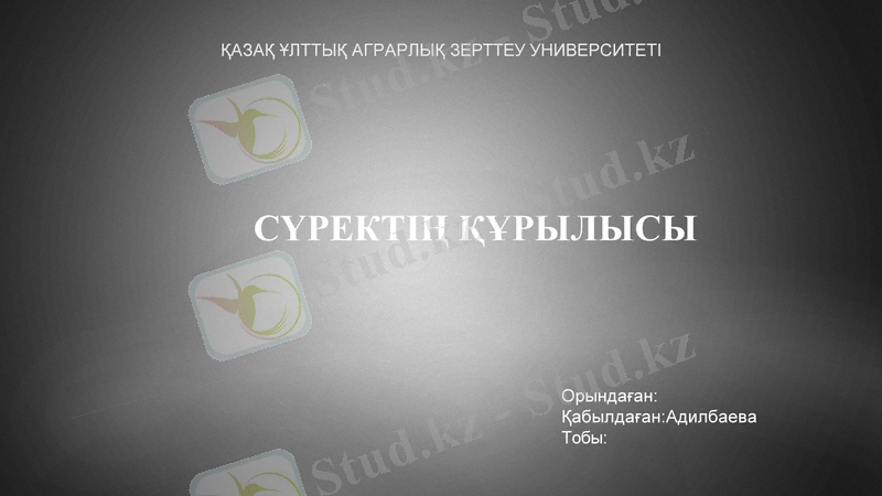Slide 1