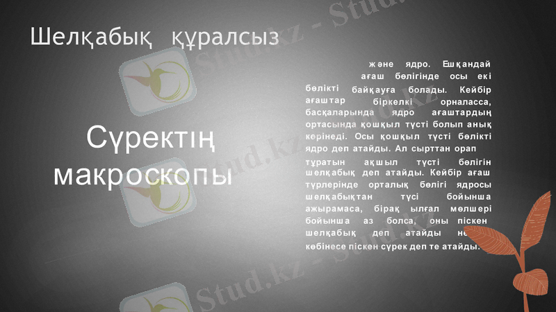 Slide 5