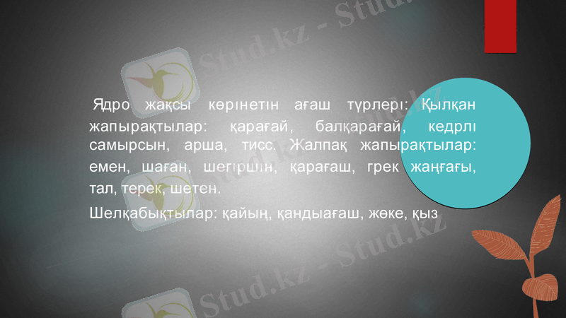 Slide 6