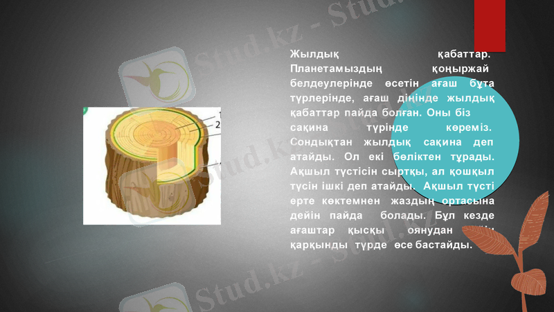 Slide 7