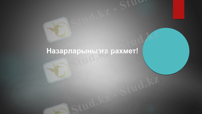 Slide 9
