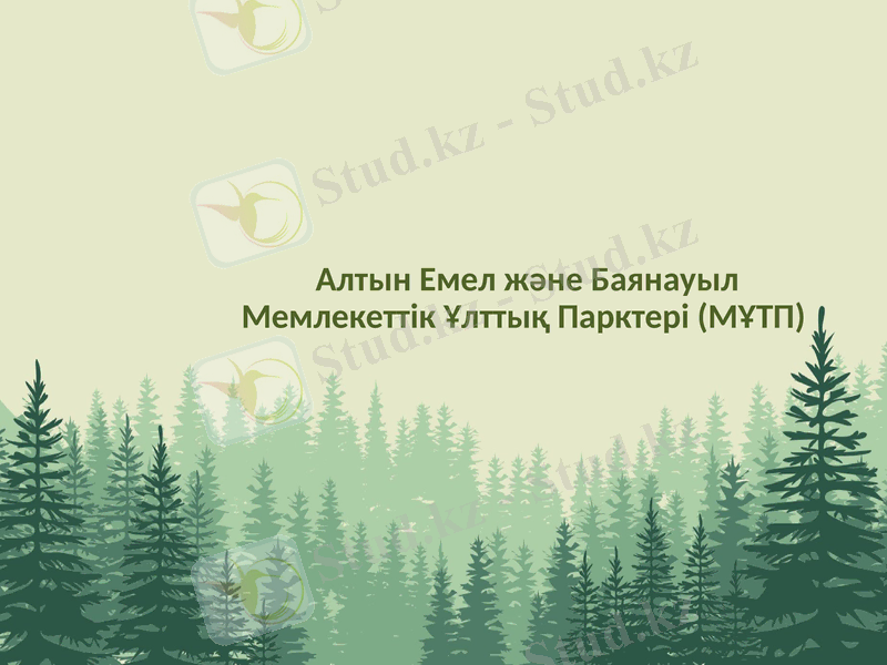 Slide 1