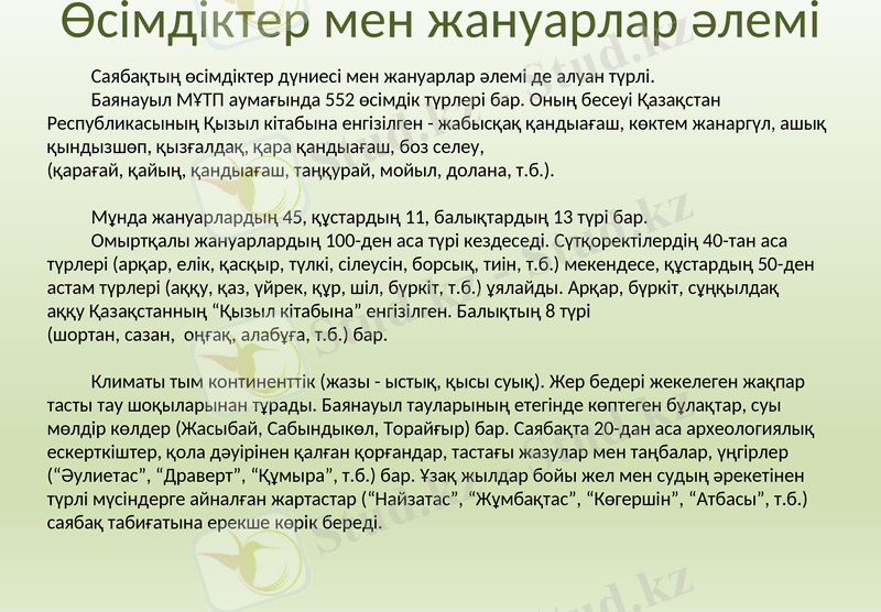 Slide 12