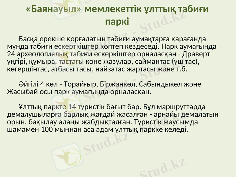 Slide 13