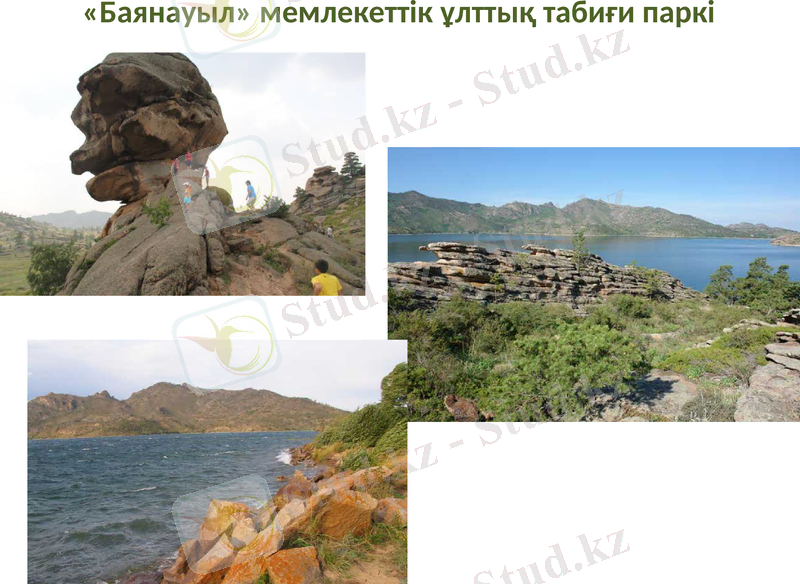 Slide 16