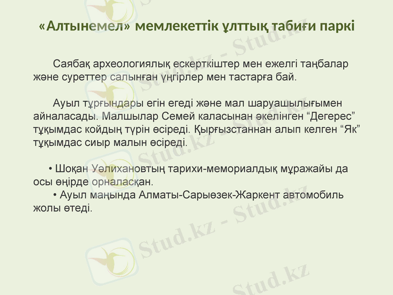Slide 6