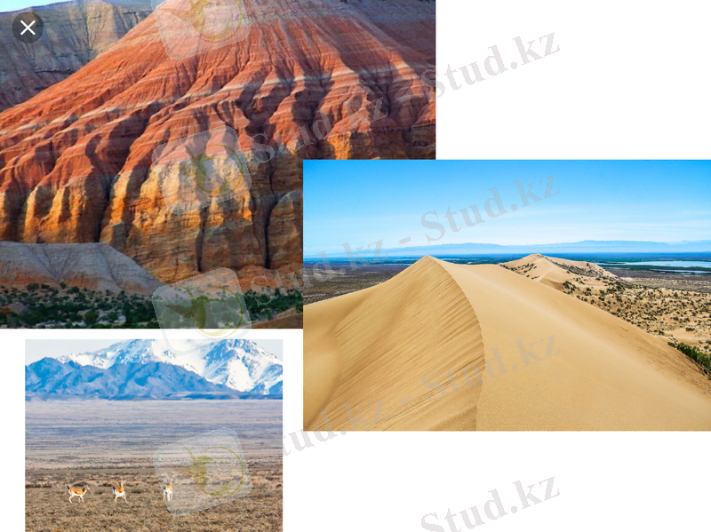 Slide 8