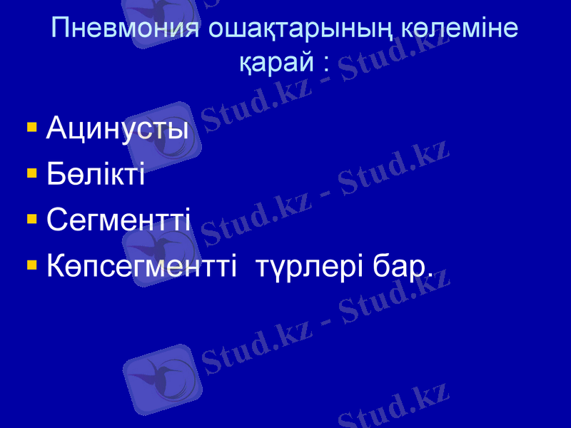 Slide 11