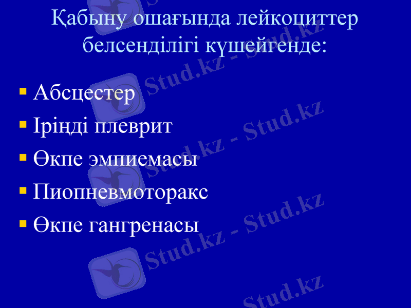 Slide 19