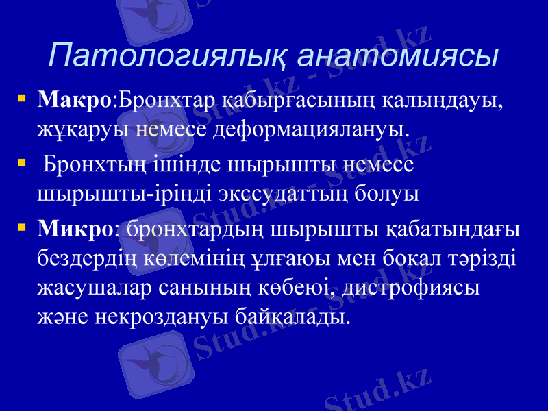 Slide 24