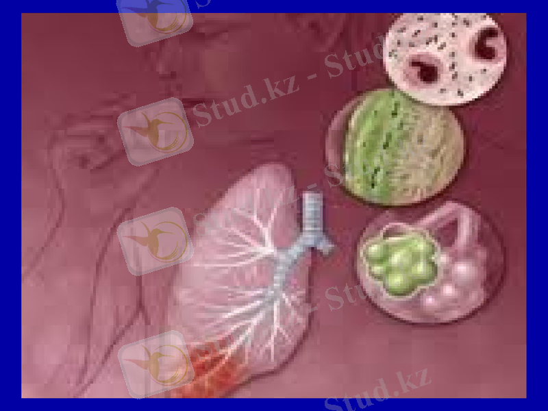 Slide 9