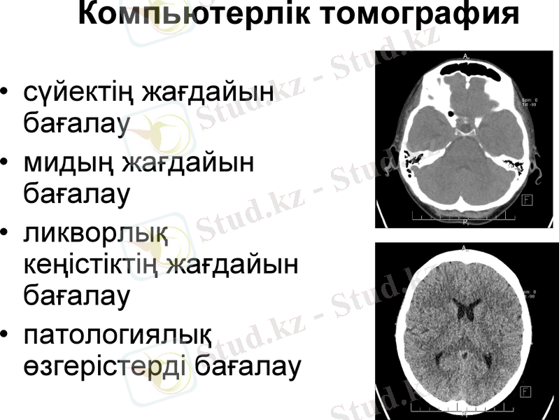Slide 10