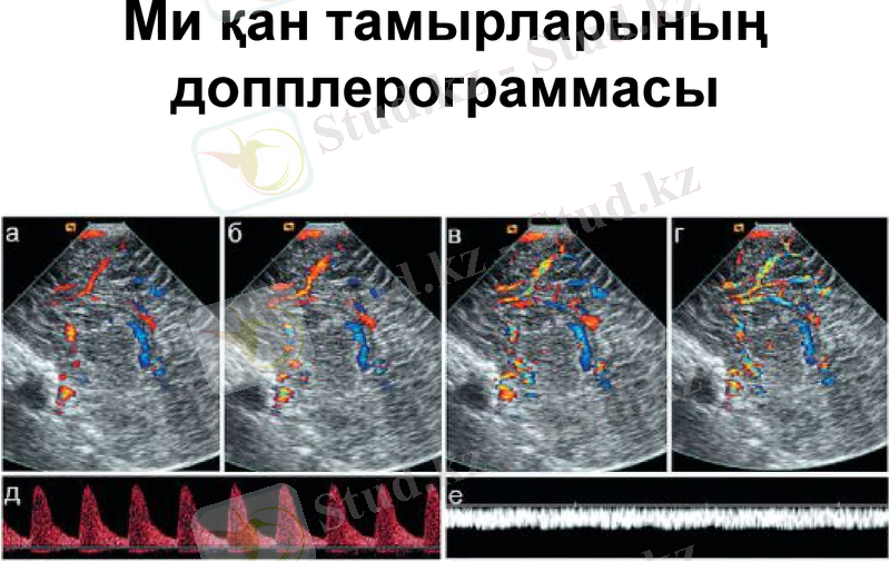 Slide 19