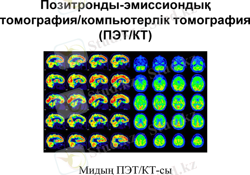 Slide 24