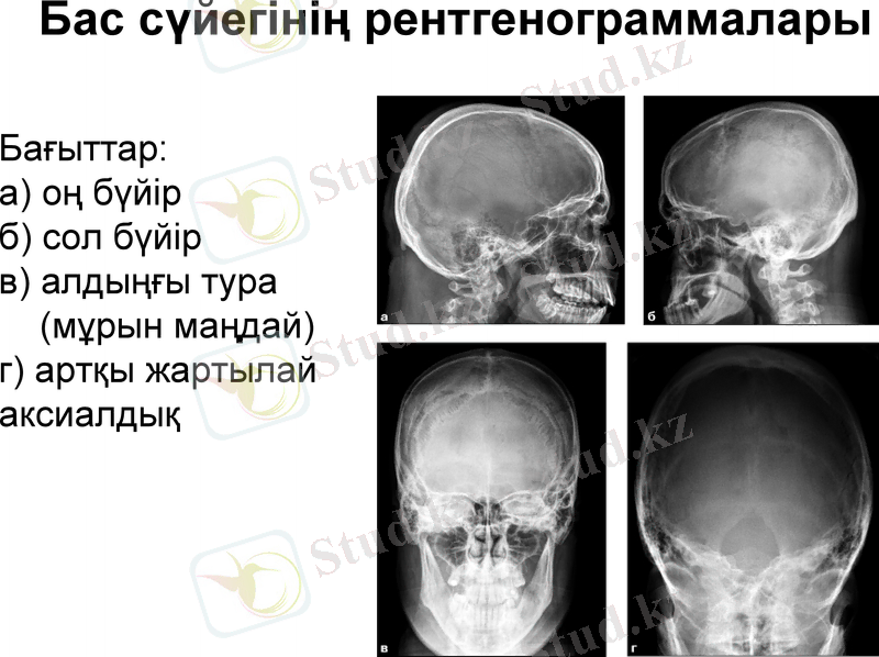 Slide 8