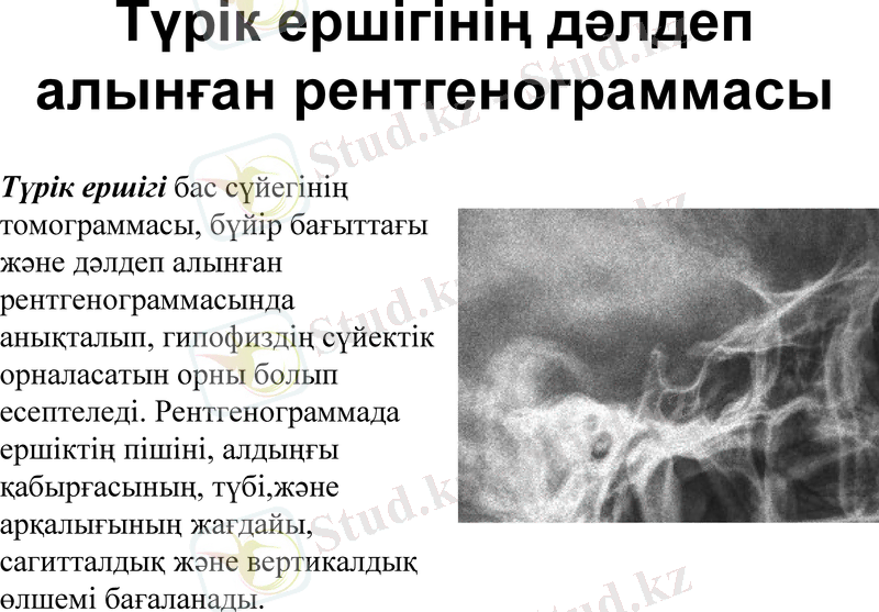 Slide 9