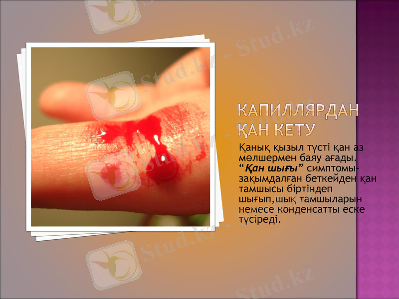 Slide 10