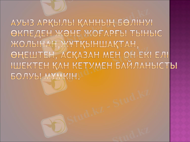 Slide 12