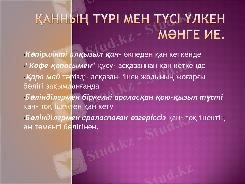 Slide 13