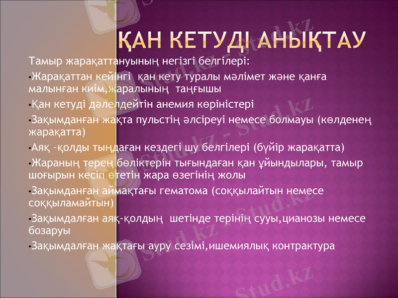 Slide 7