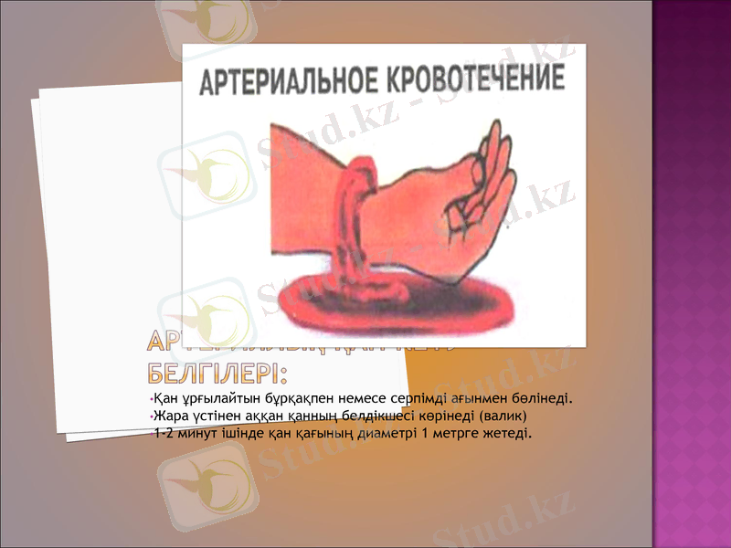 Slide 8