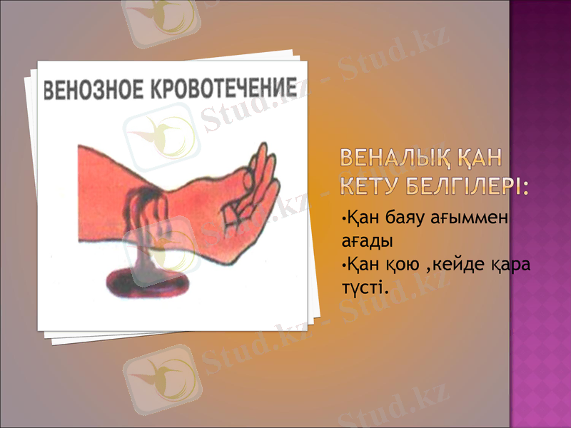 Slide 9