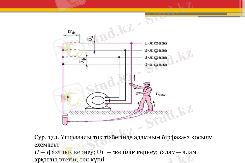 Slide 6