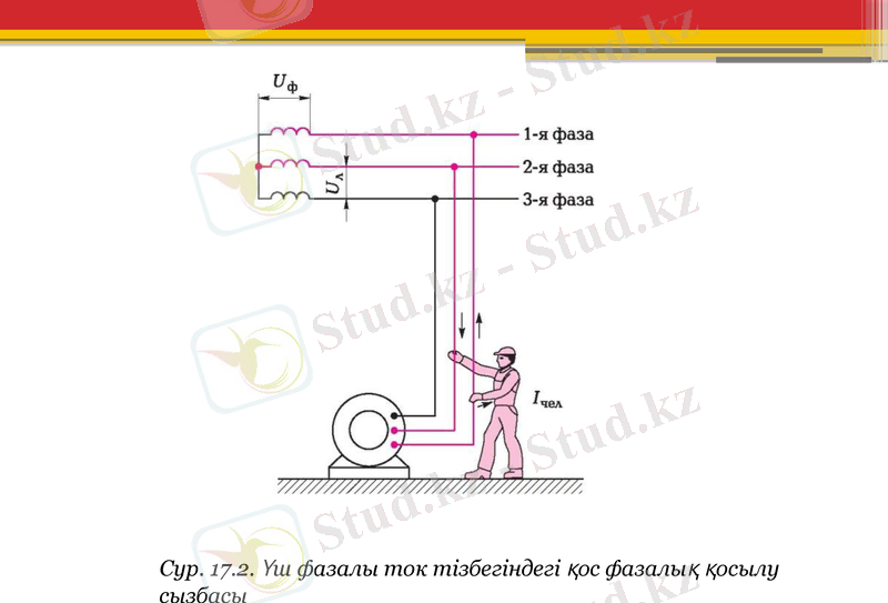 Slide 8