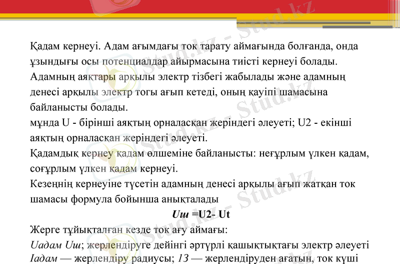 Slide 9