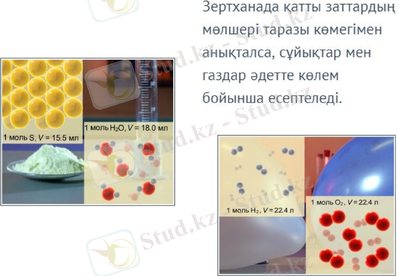Slide 7