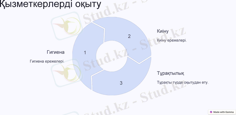 Slide 11