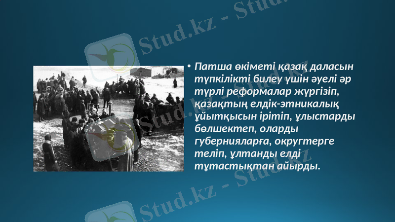 Slide 11